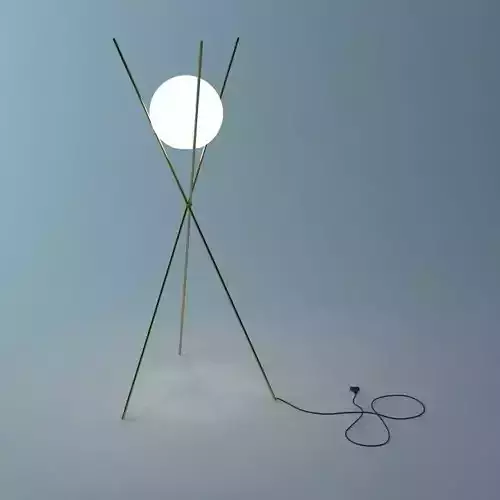 Tree in the moonlight Lamp