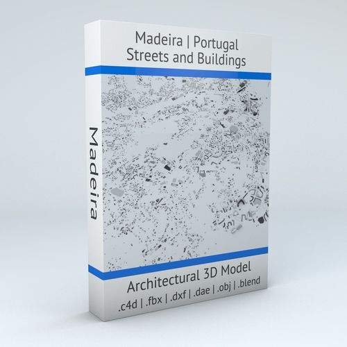 Madeira Streets and Buildings 3D model