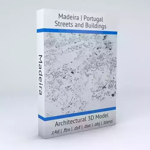 Madeira Streets and Buildings 3D model