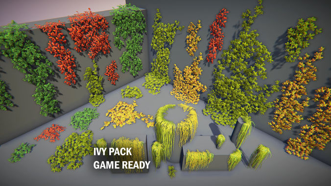Ivy pack Low-poly 3D model