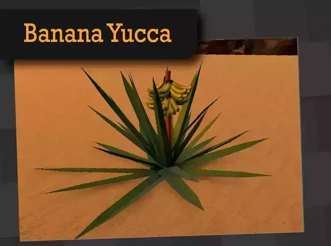 Banana Yucca Low-poly 3D model
