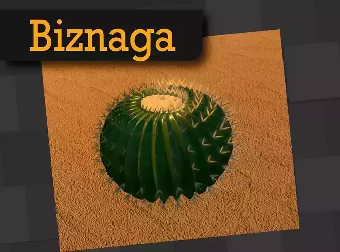 Biznaga Desert