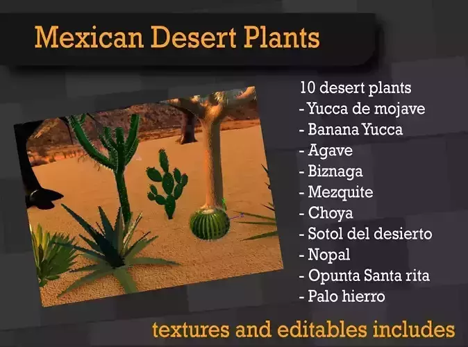 10 Desert Plants 