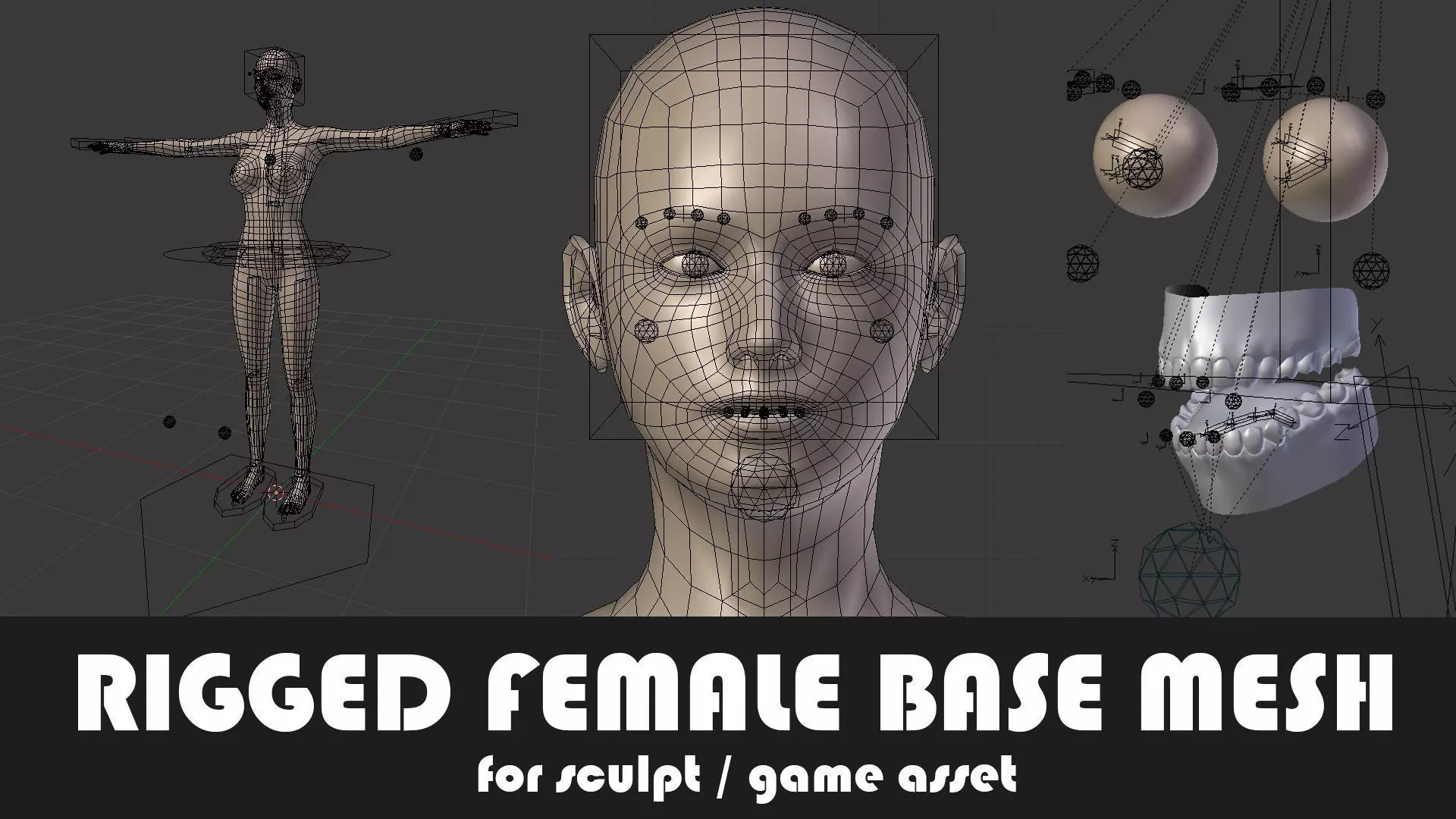 Fully Rigged Female Base Mesh with Face Rig for Blender Low-poly 3D model_0
