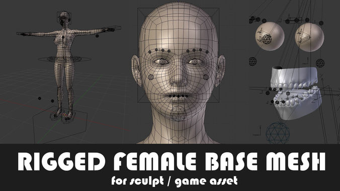 Fully Rigged Female Base Mesh with Face Rig for Blender Low-poly 3D model