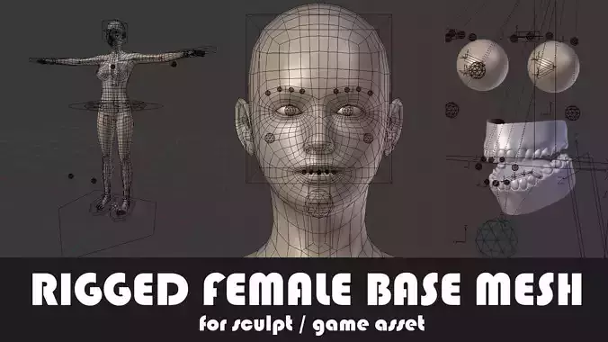 Fully Rigged Female Base Mesh with Face Rig for Blender Low-poly 3D model