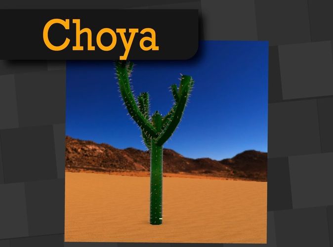 Choya Mexican Desert Plants Low-poly 3D model