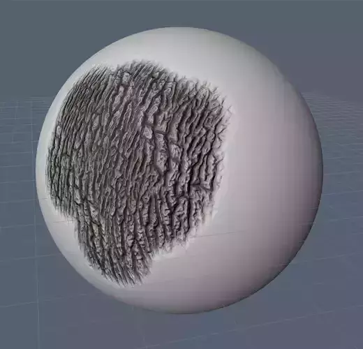 Bark Brushes Free 3D model