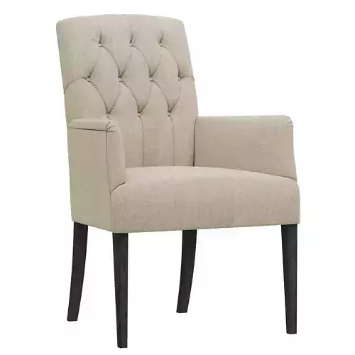 Dantone Home Bordo 2 chair