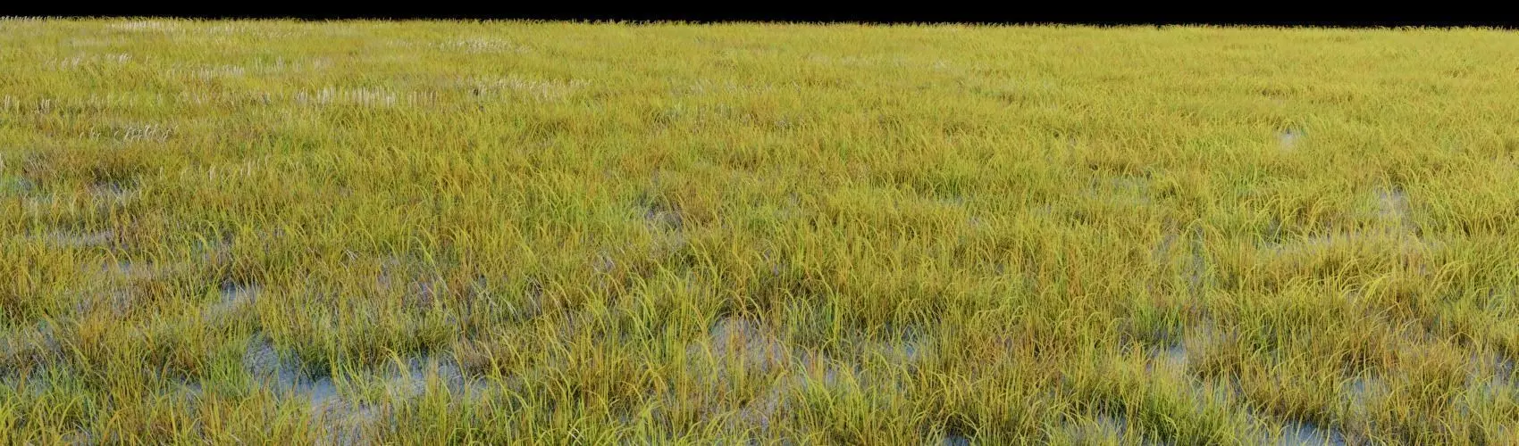 Grass with random colors clumbs for environment simulation 3D model