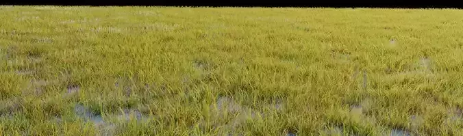 Grass with random colors clumbs for environment simulation