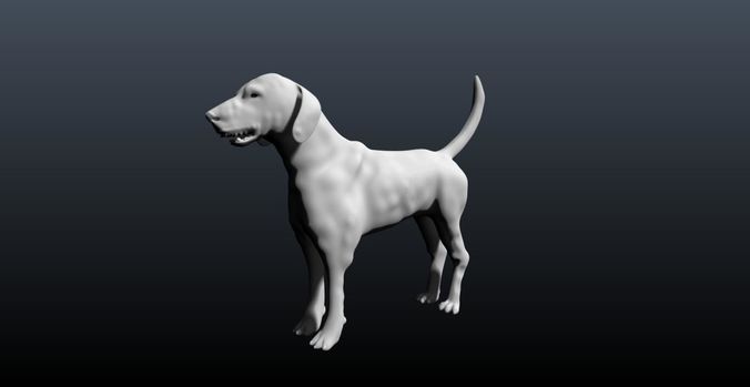HOUND dog 3D model