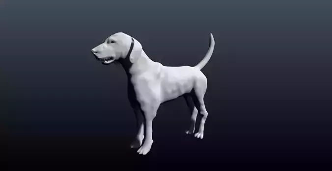 HOUND dog 3D model