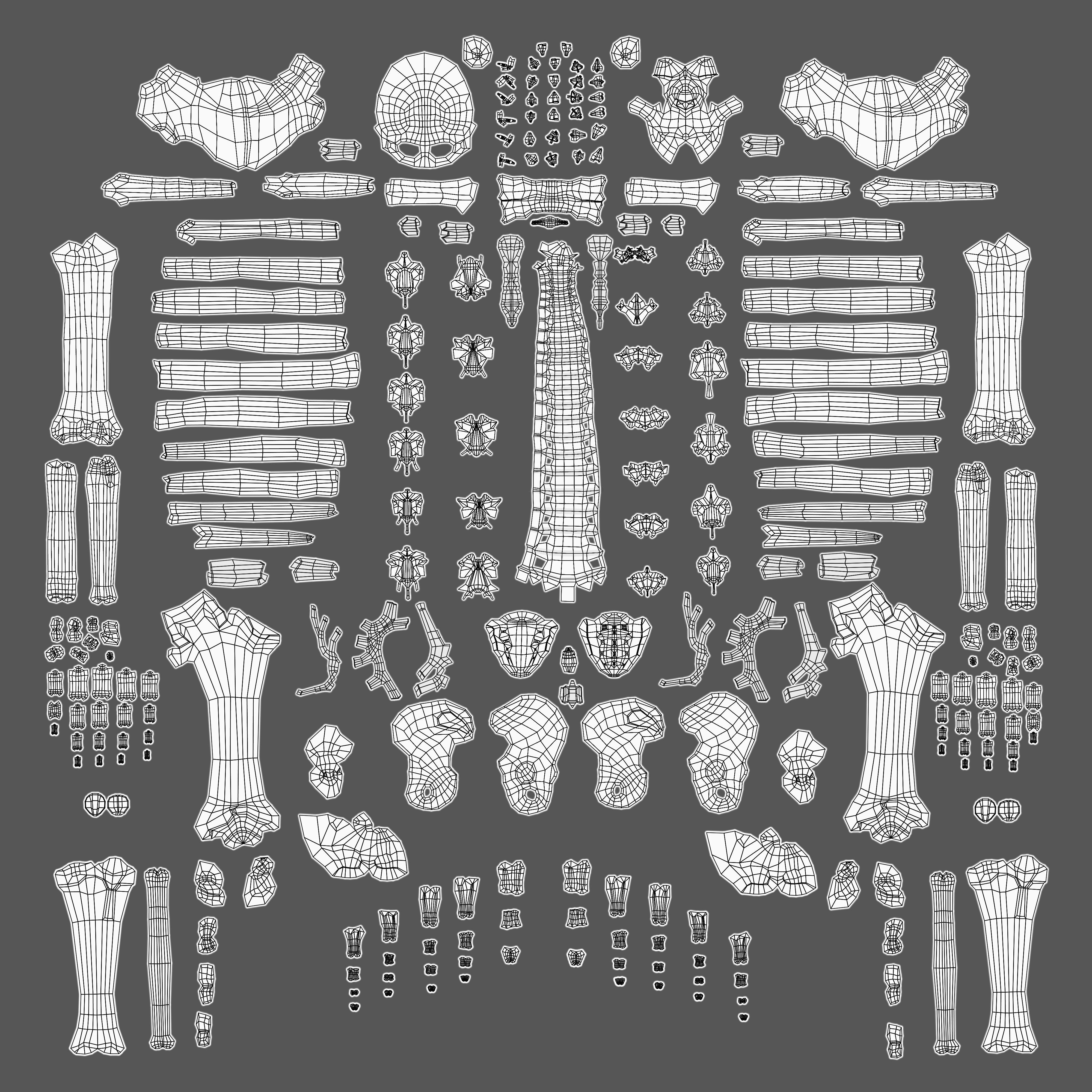 Human Skeleton Model 3d Low-poly 3D model_29