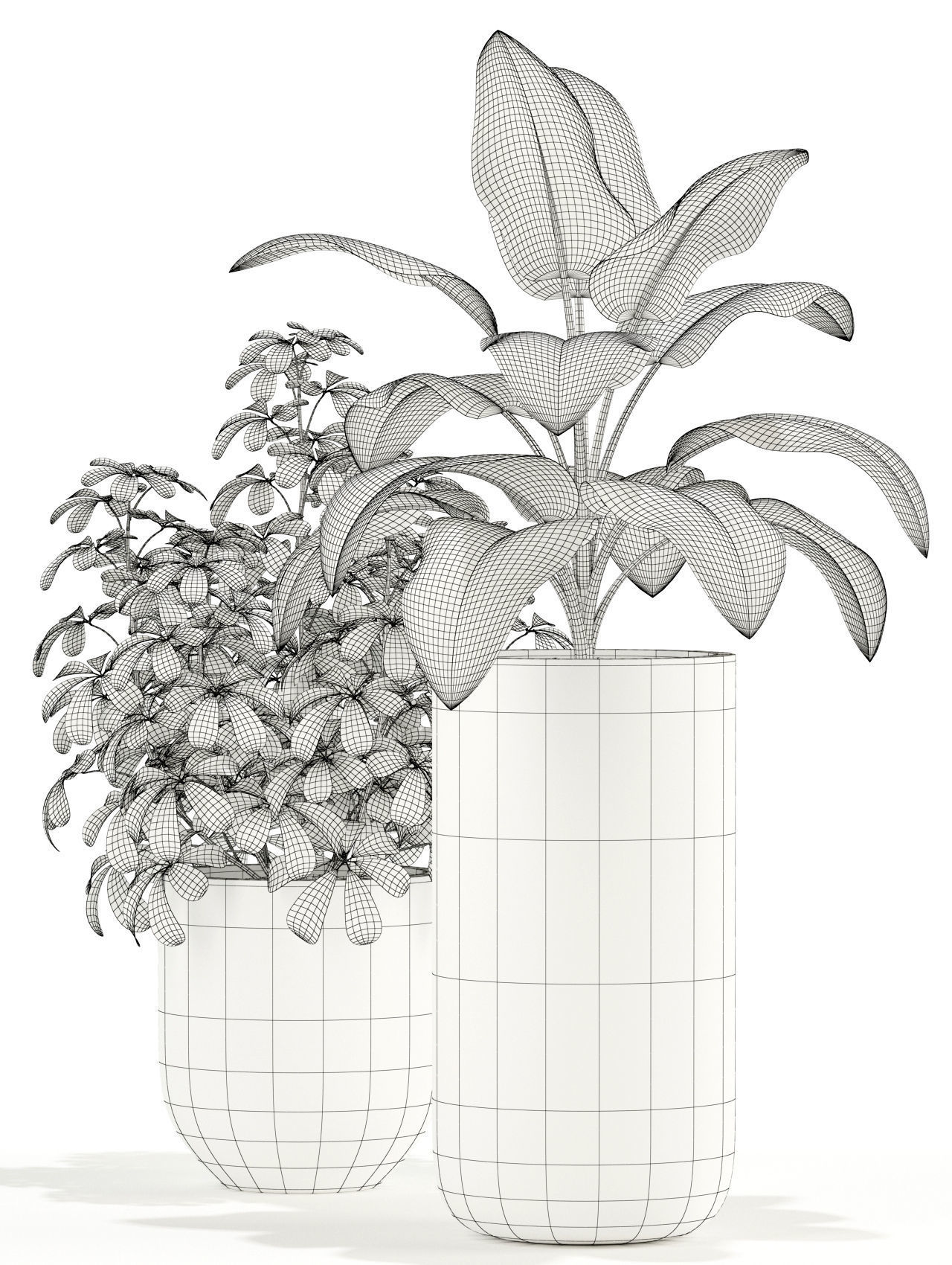 Plants collection 109 3D model_4