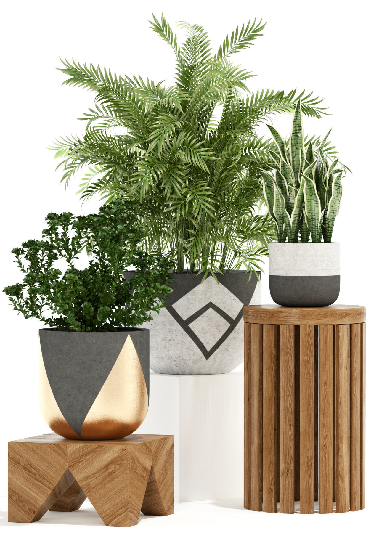 Plants collection 109 3D model_1