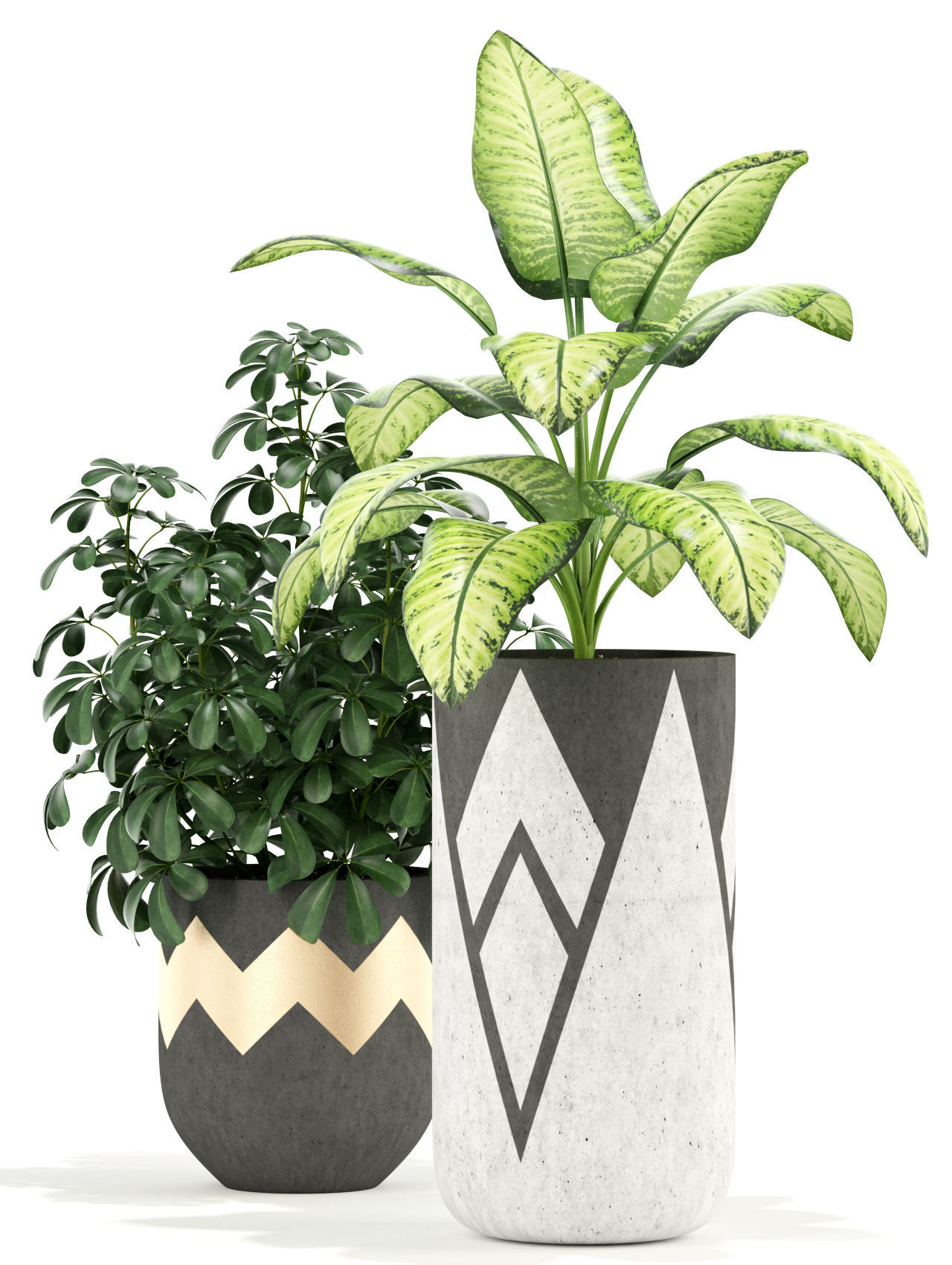 Plants collection 109 3D model_2