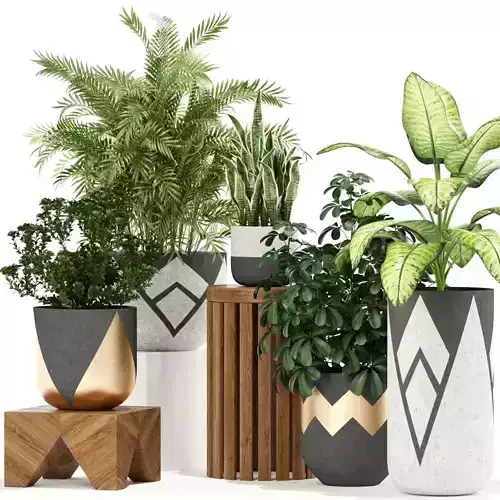 Plants collection 109 3D model