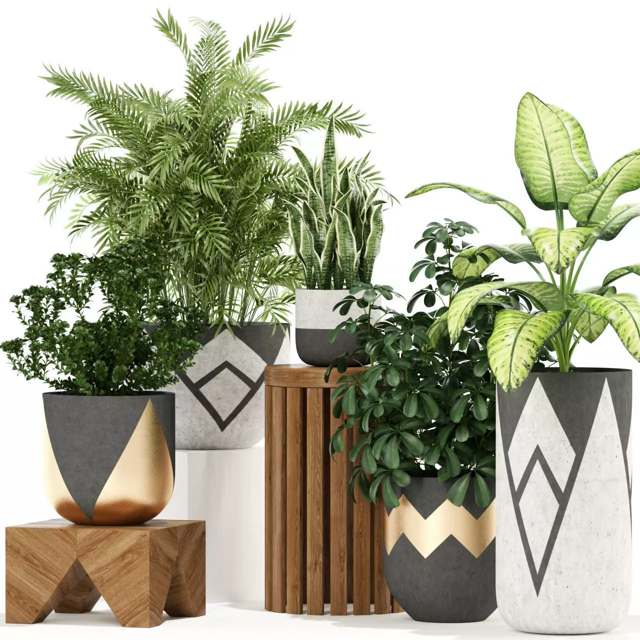 Plants collection 109 3D model_0