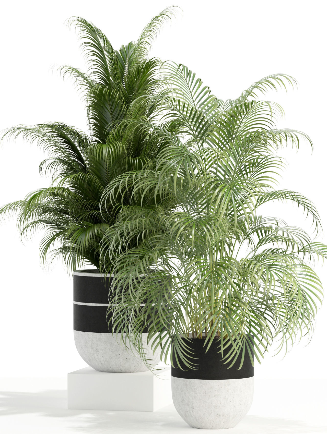 Plants collection 110 3D model_2