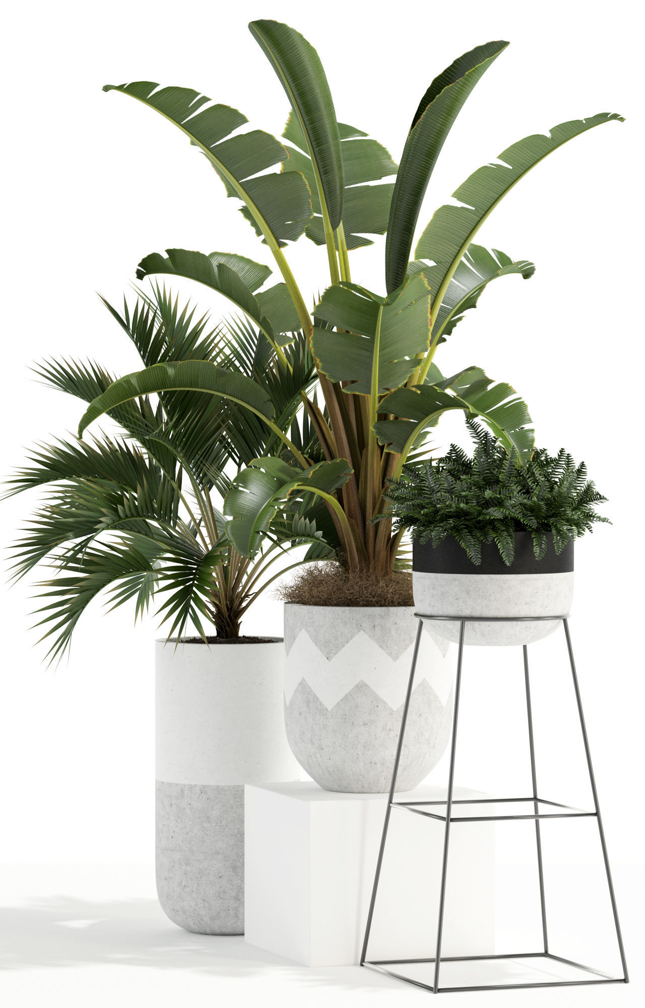 Plants collection 110 3D model_1