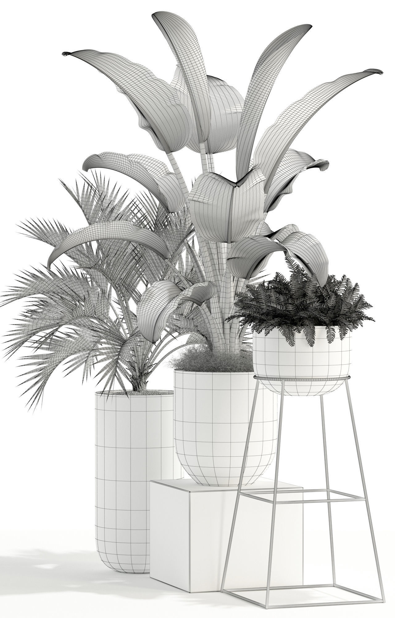 Plants collection 110 3D model_3