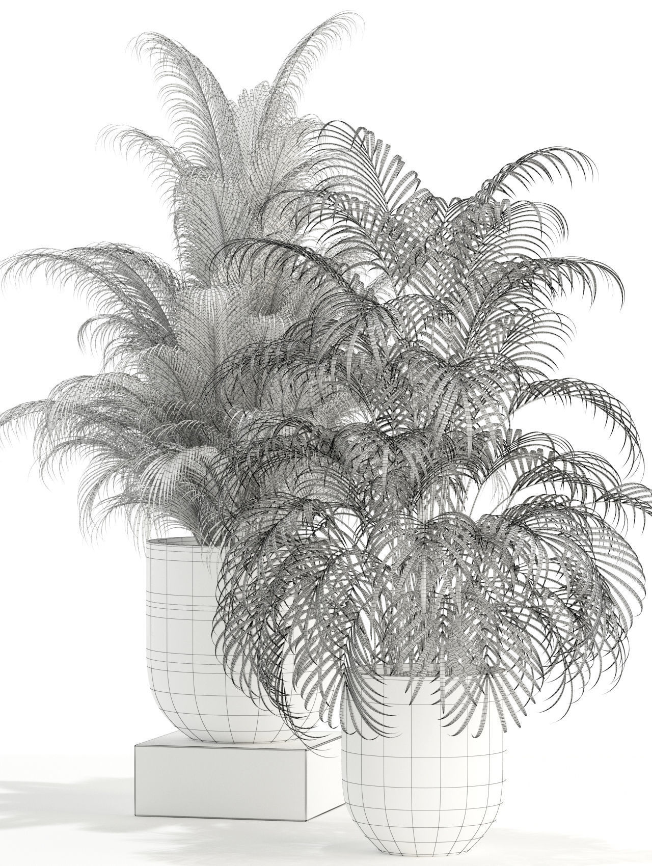 Plants collection 110 3D model_4