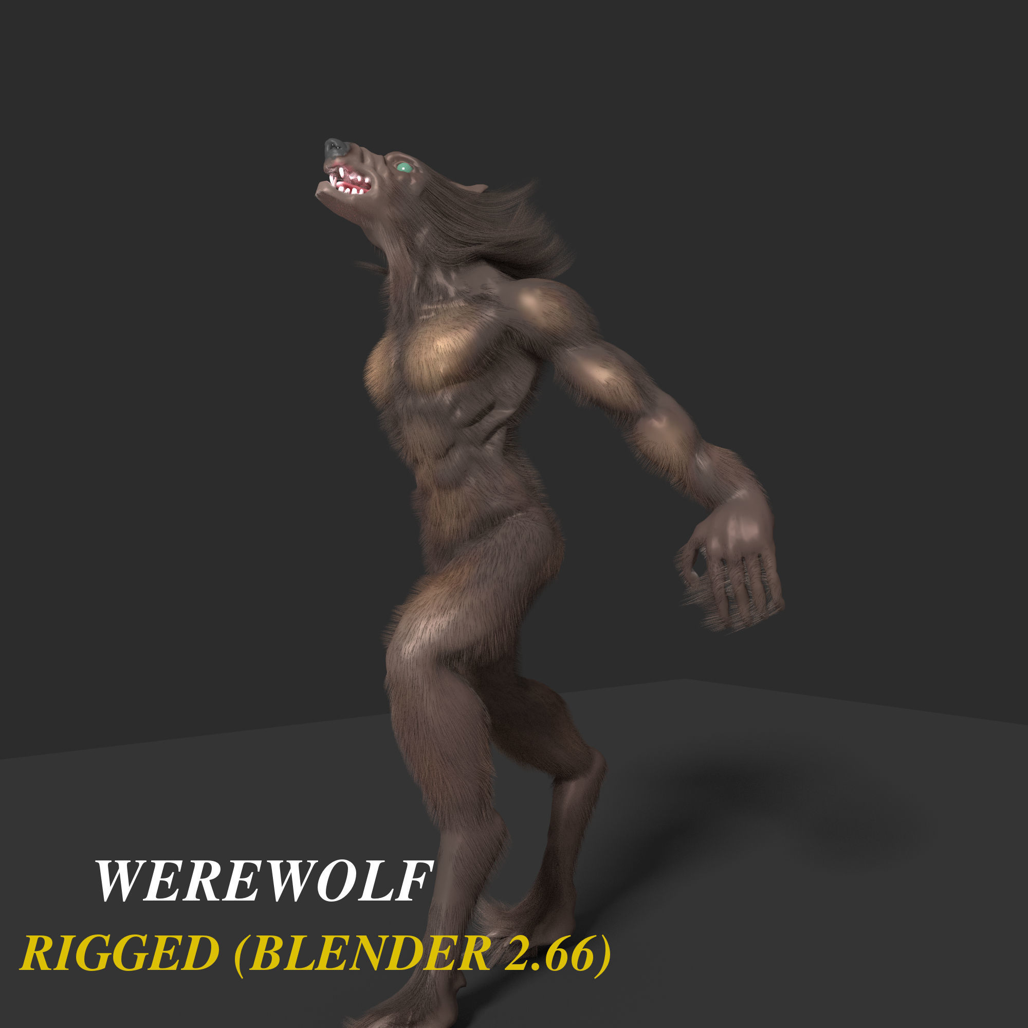 Werewolf Animated 3D model_2