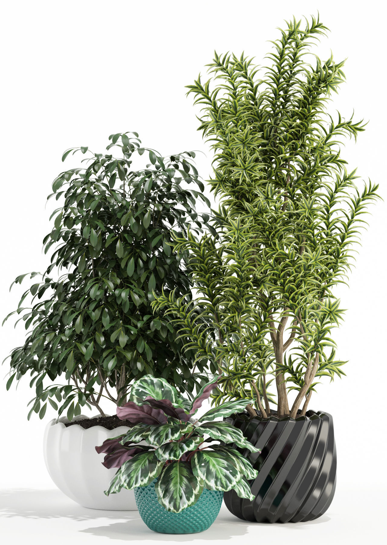 Plants collection 111 3D model_1