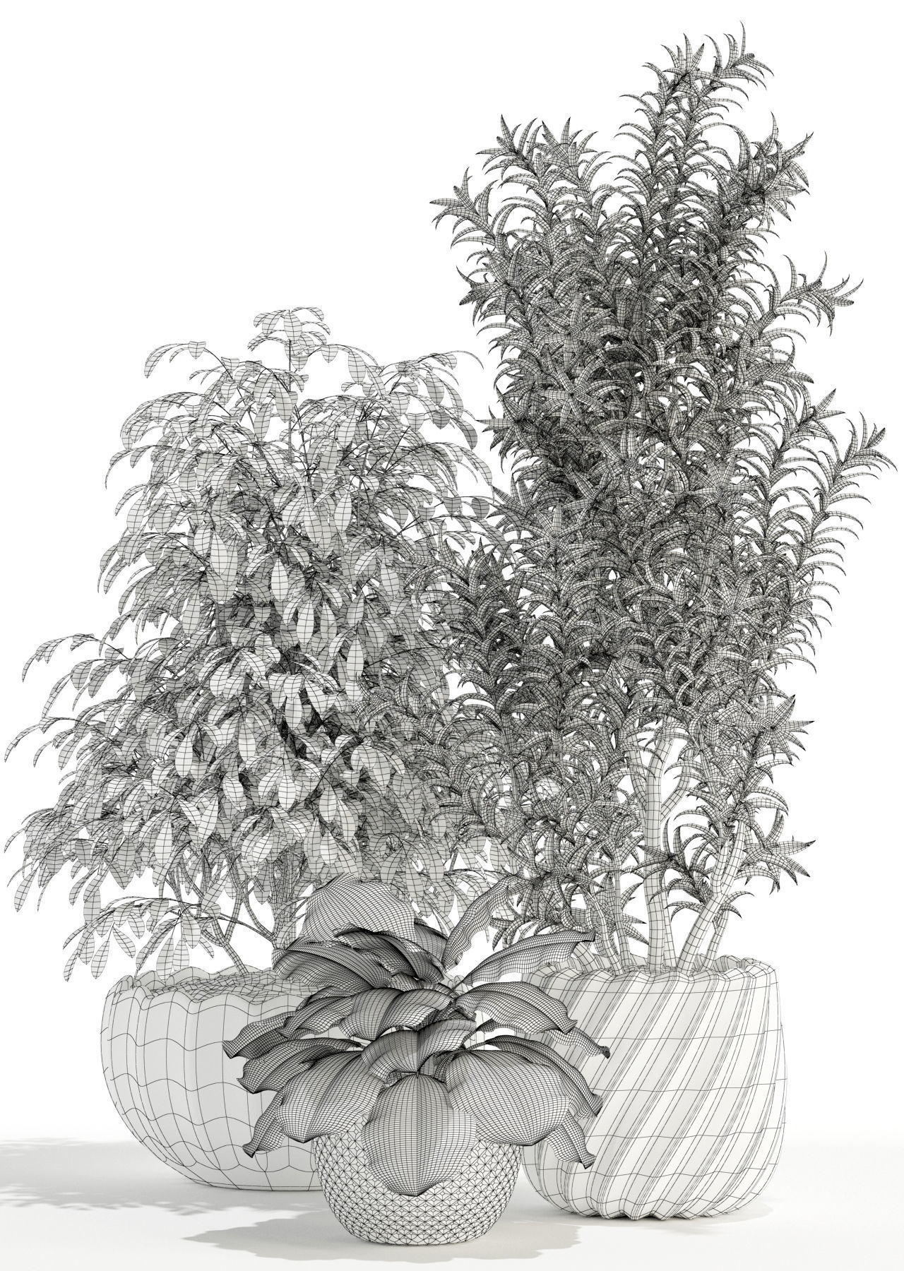 Plants collection 111 3D model_3