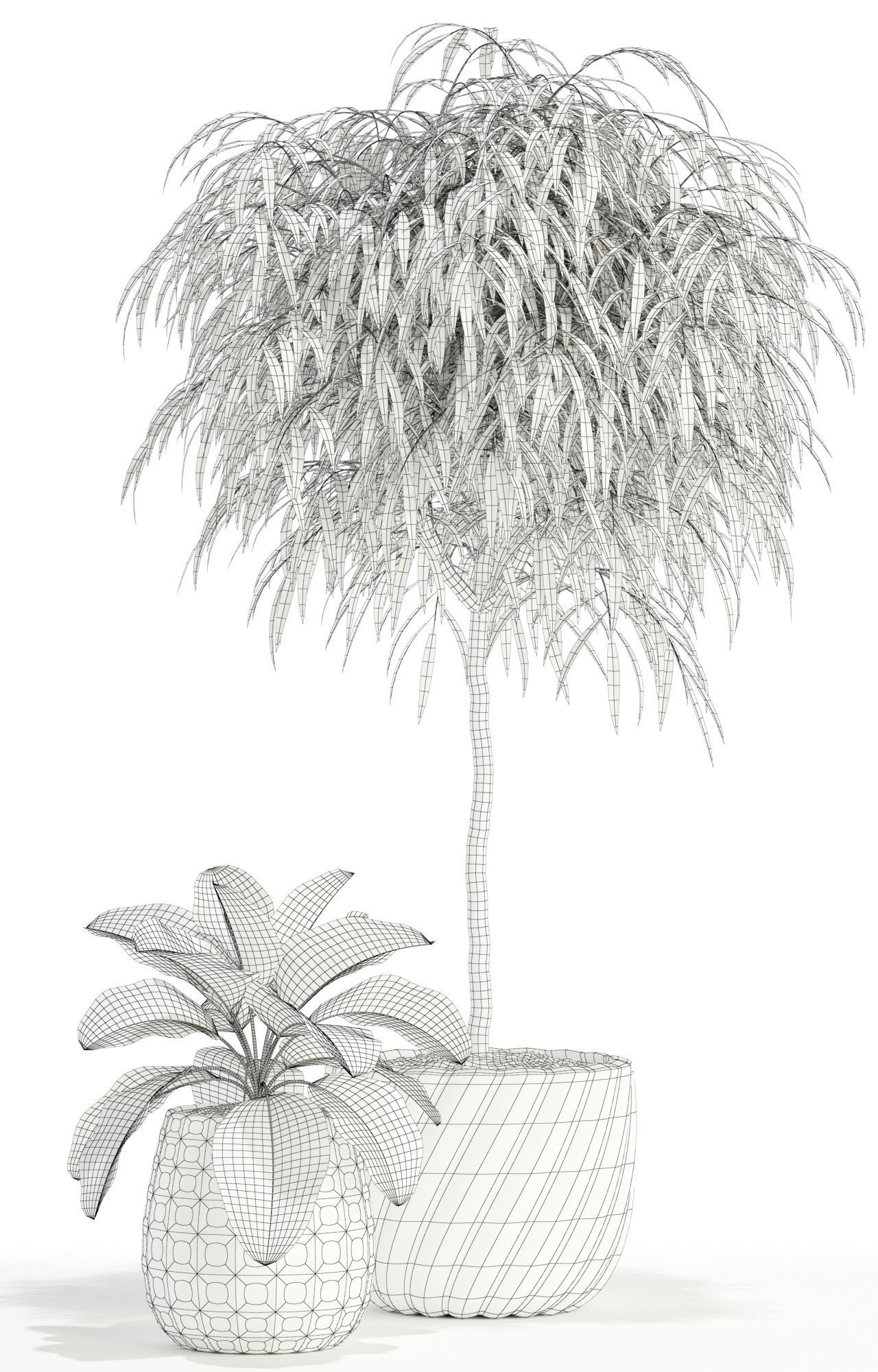 Plants collection 111 3D model_4