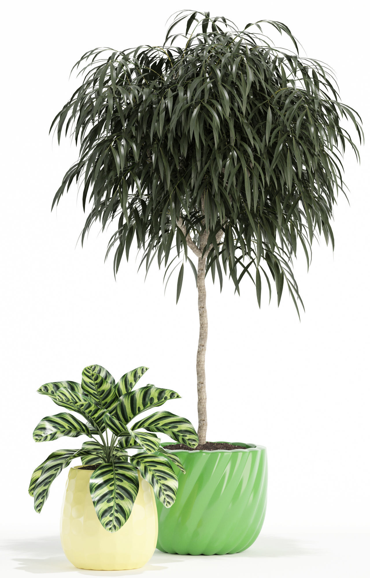 Plants collection 111 3D model_2