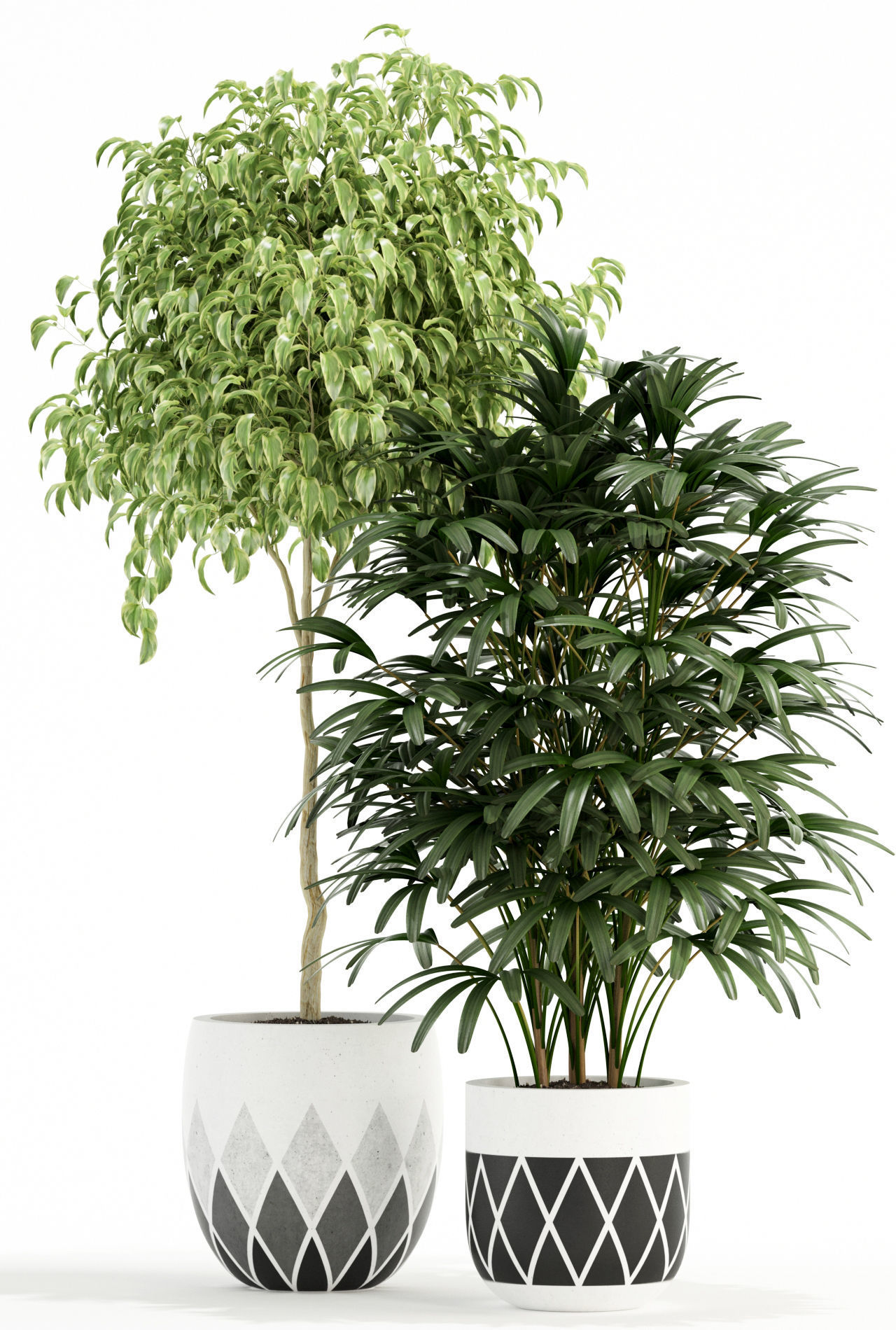 Plants collection 112 3D model_2