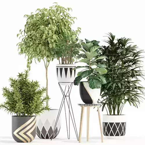 Plants collection 112 3D model