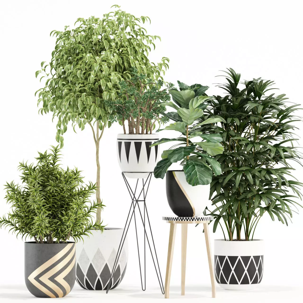 Plants collection 112 3D model_0