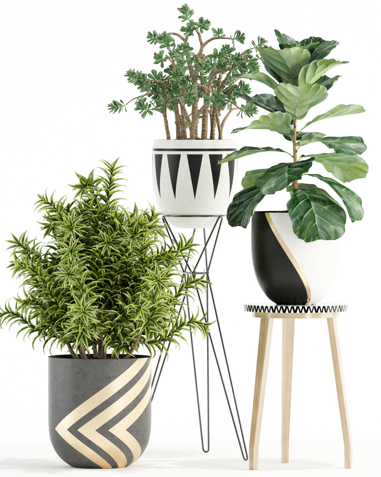 Plants collection 112 3D model_1