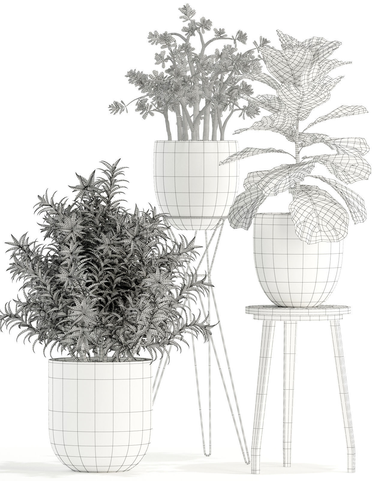 Plants collection 112 3D model_3