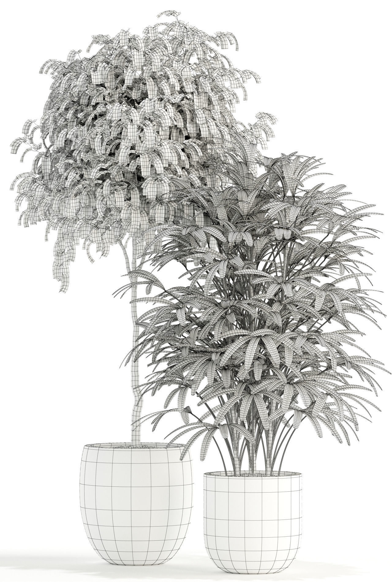 Plants collection 112 3D model_4
