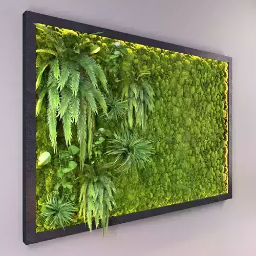 Fito wall with moss