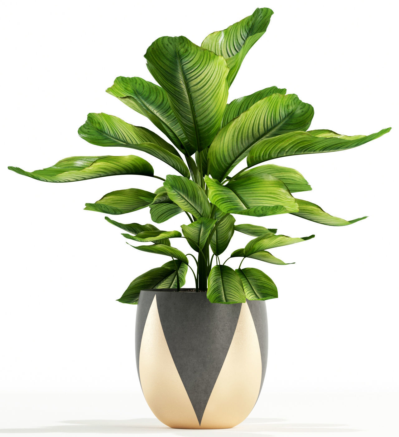 Plants collection 113 3D model_1