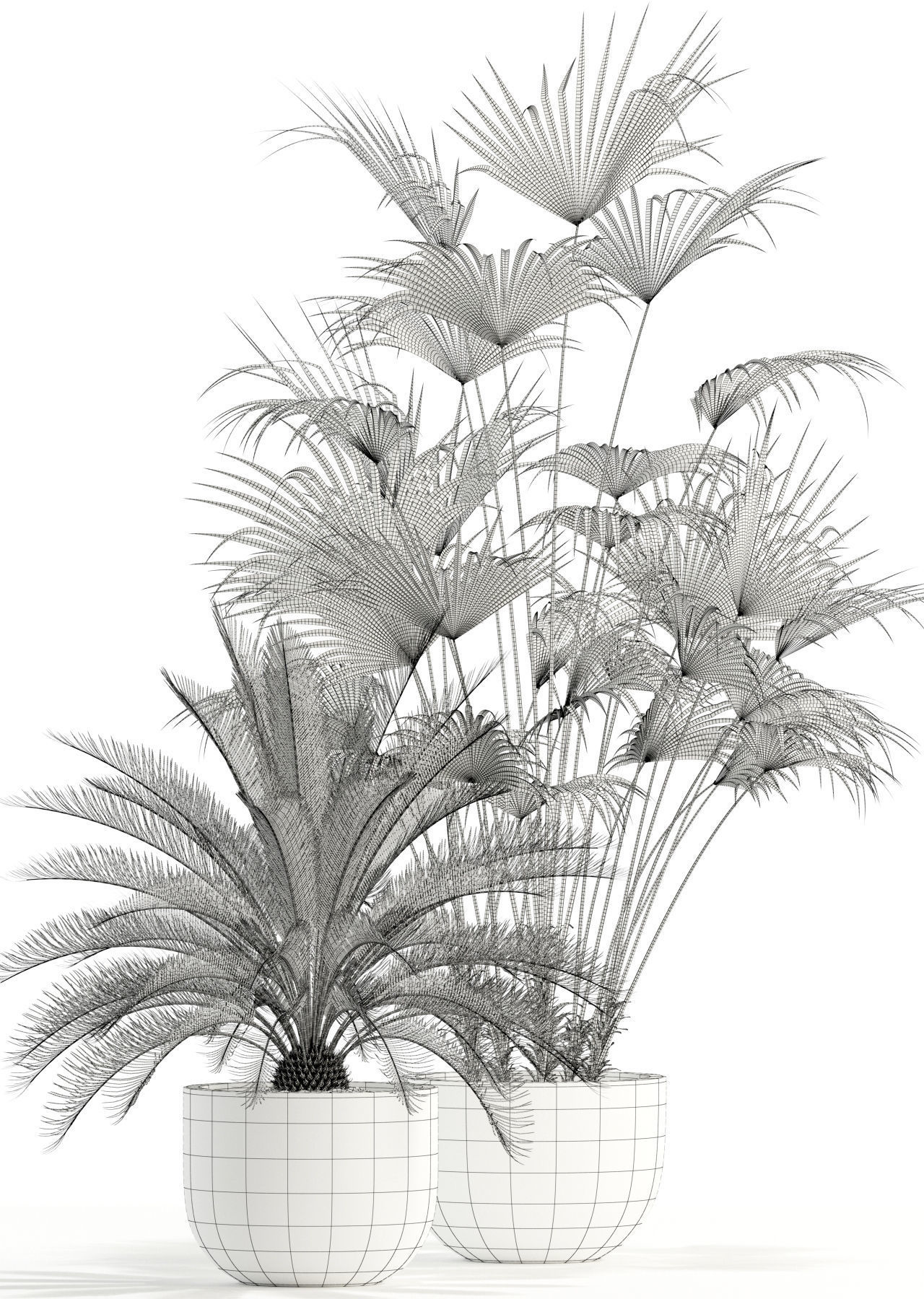 Plants collection 113 3D model_5