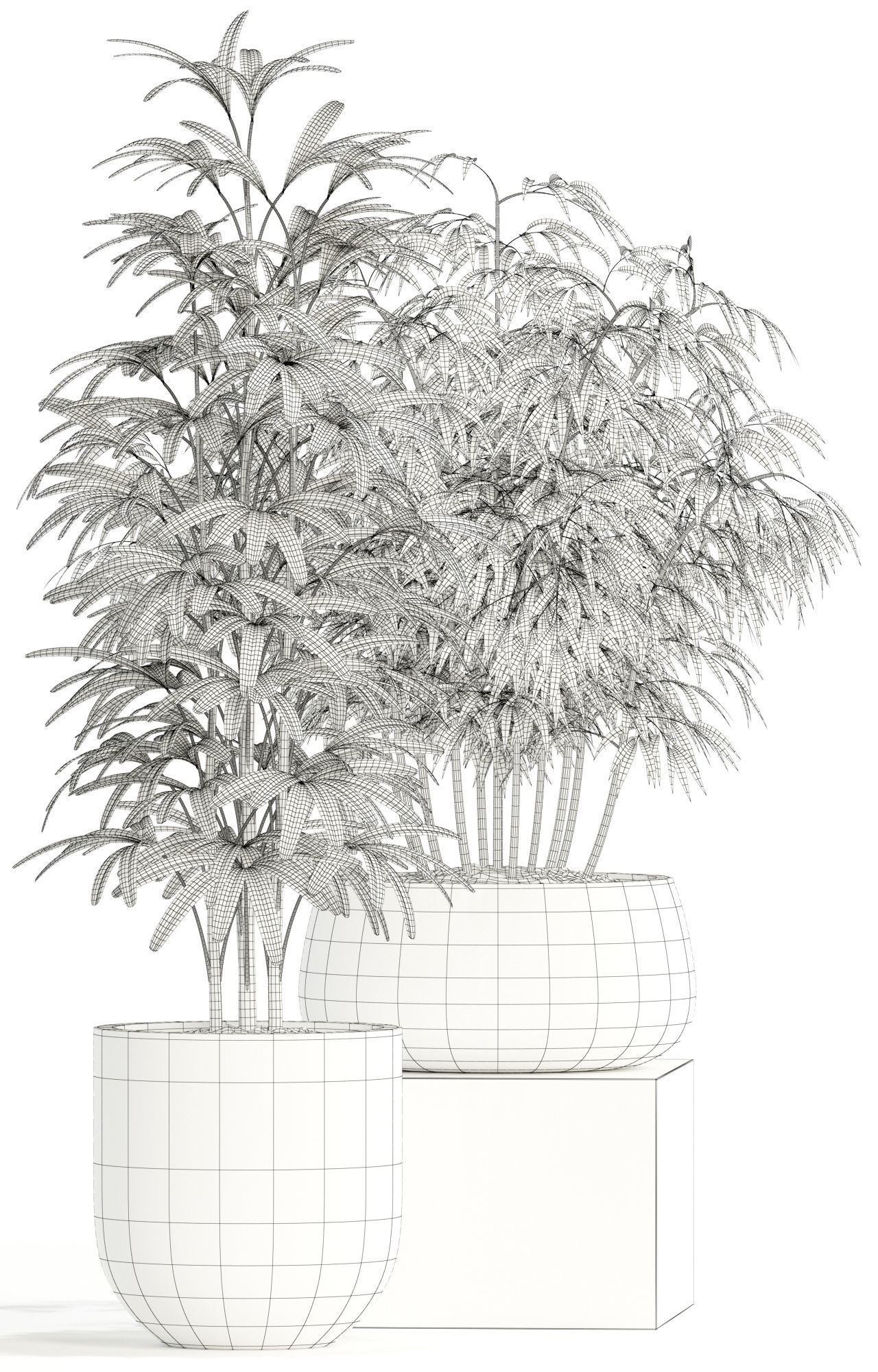 Plants collection 113 3D model_6