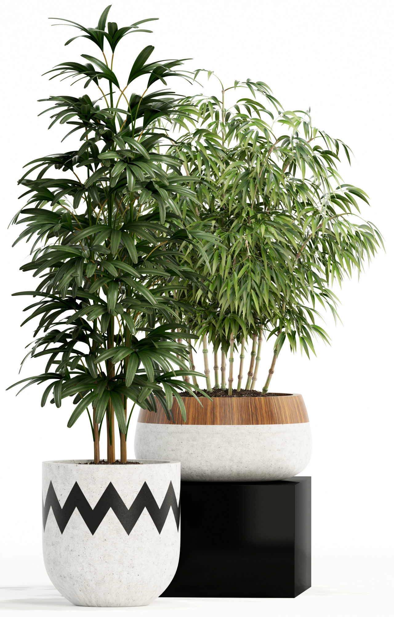Plants collection 113 3D model_3