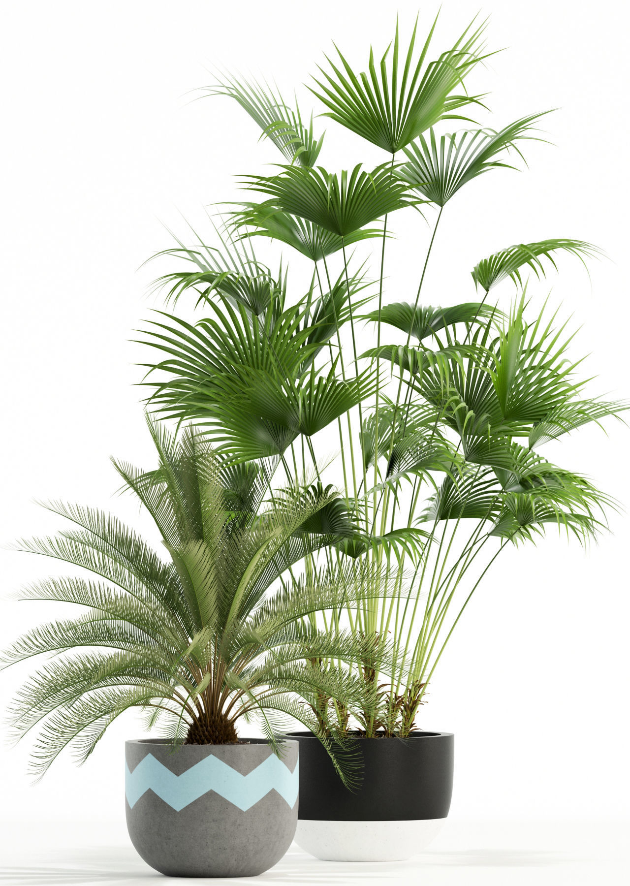 Plants collection 113 3D model_2