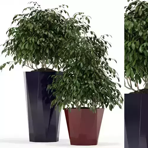 Plants collection 102 Awesomeplanters 3D model