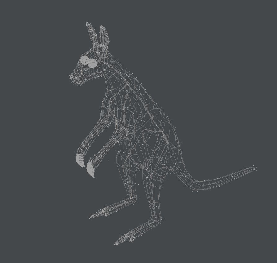 Grey Kangaroo 3D model_2