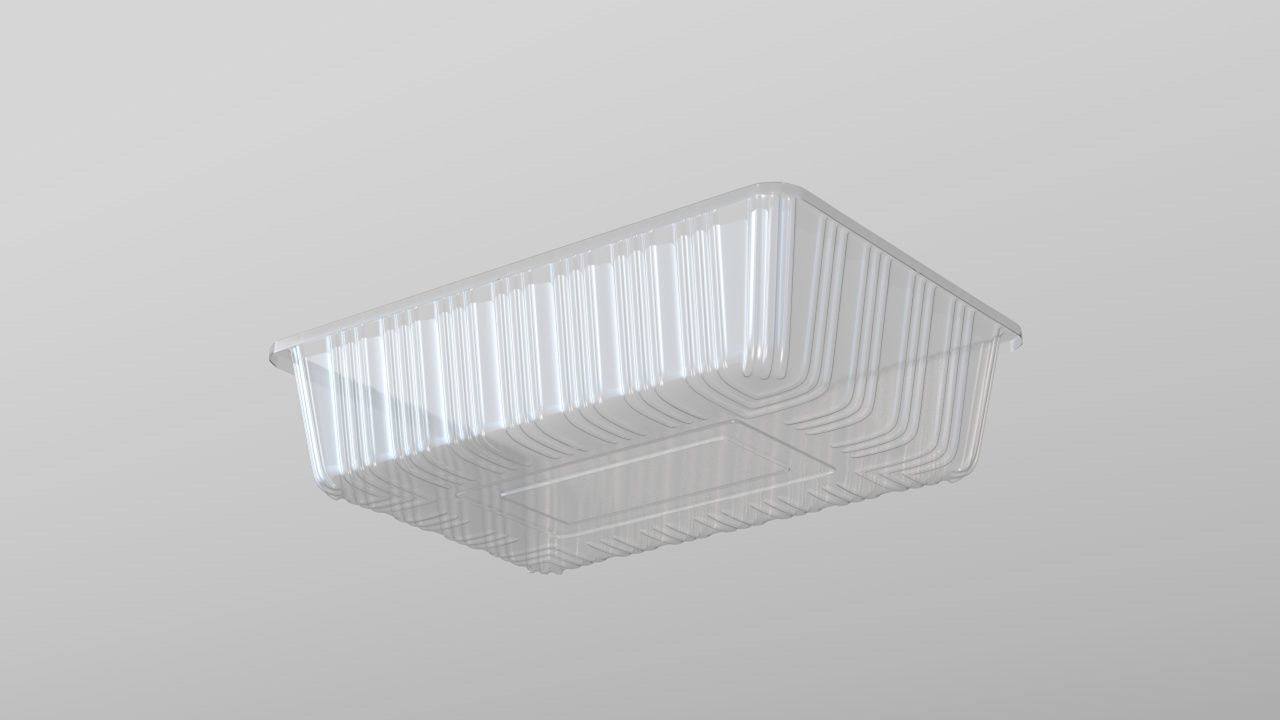 Transparent Plastic Food Container 3D model_1