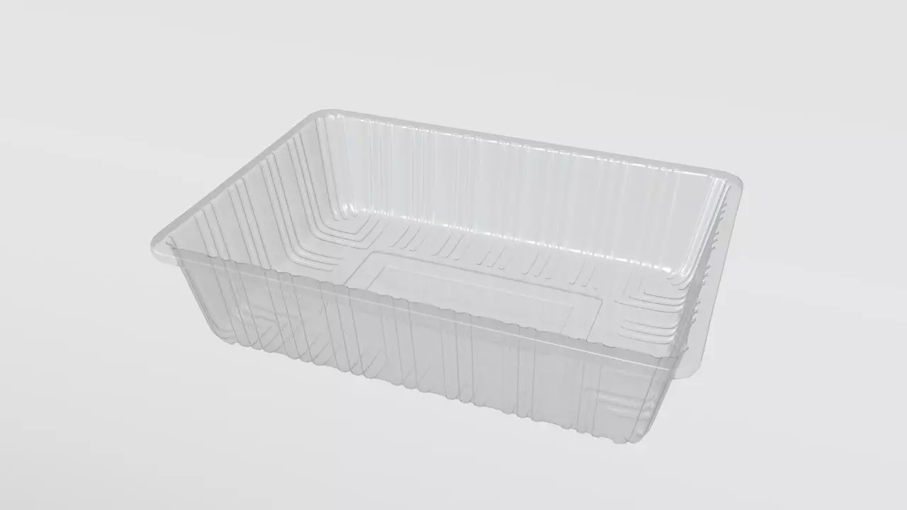 Transparent Plastic Food Container 3D model_0