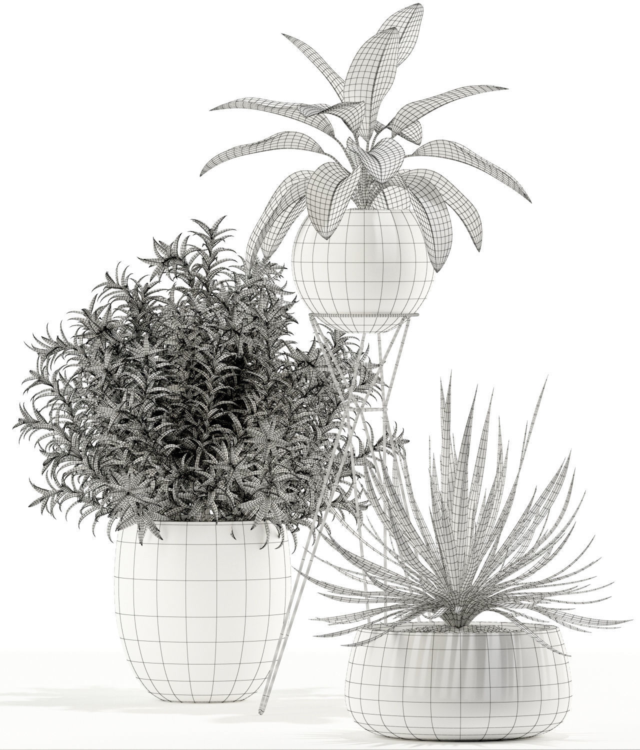 Plants collection 114 3D model_4
