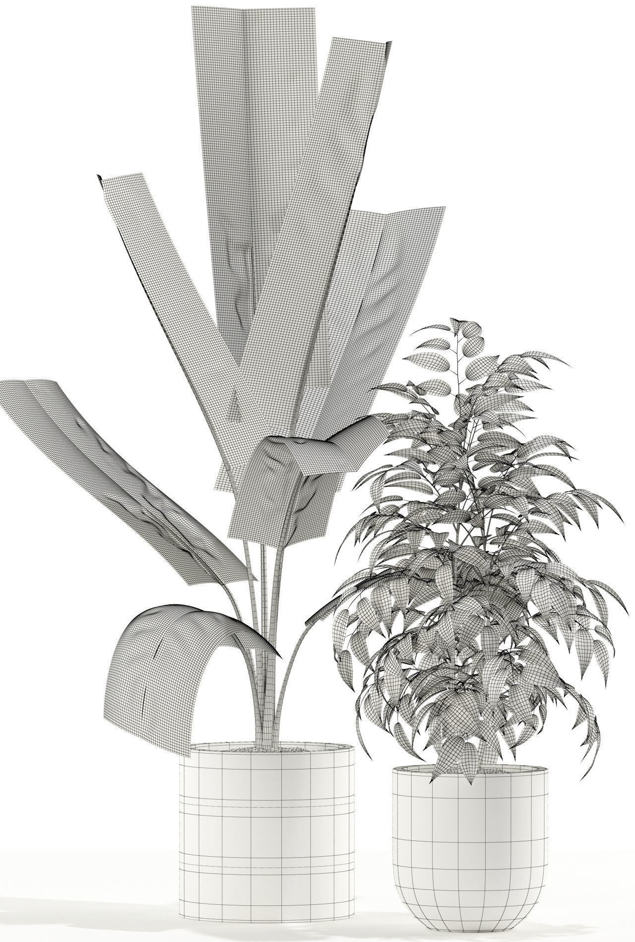 Plants collection 114 3D model_3